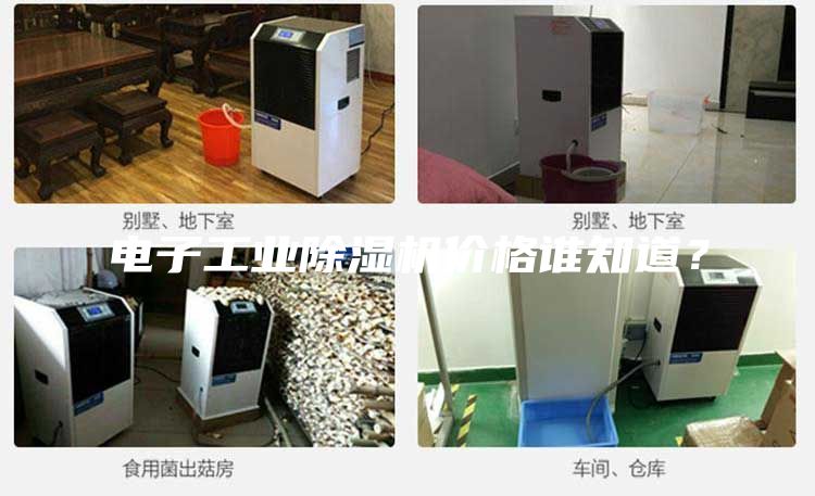 电子工业除湿机价格谁知道？