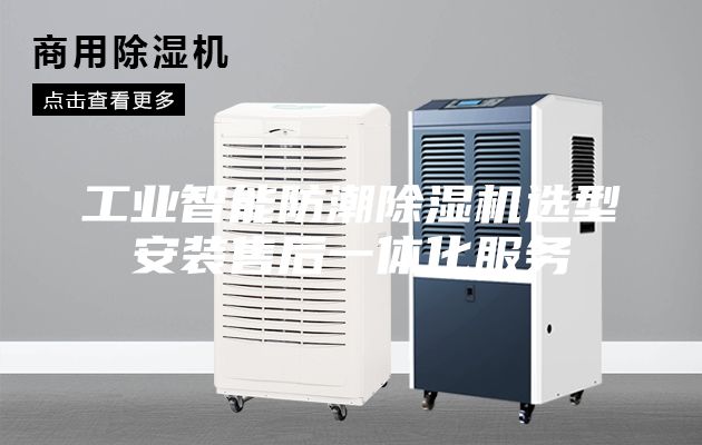 工业智能防潮除湿机选型安装售后一体化服务