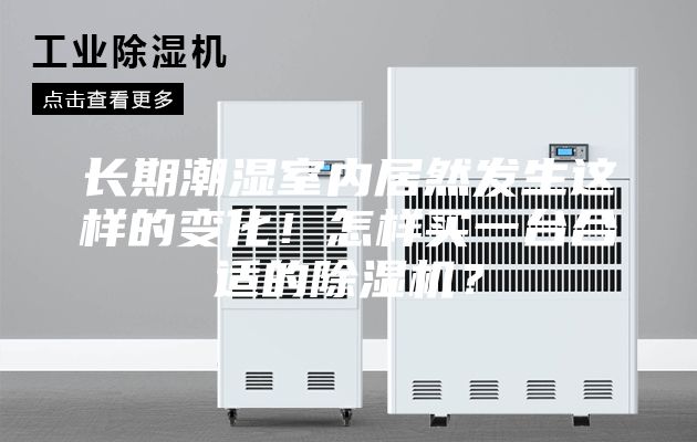 长期潮湿室内居然发生这样的变化！怎样买一台合适的除湿机？