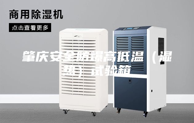 肇庆安全防爆高低温（湿热）试验箱