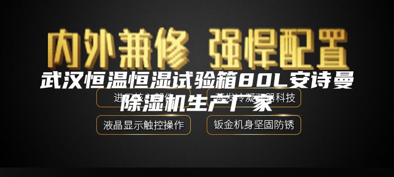 武汉恒温恒湿试验箱80L安诗曼除湿机生产厂家