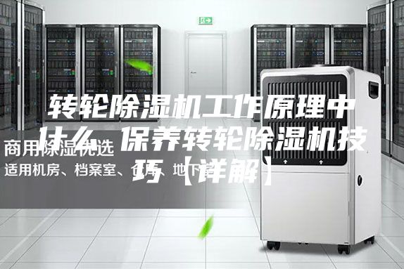 转轮除湿机工作原理中什么 保养转轮除湿机技巧【详解】