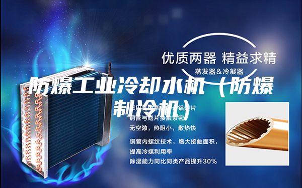 防爆工业冷却水机（防爆制冷机）
