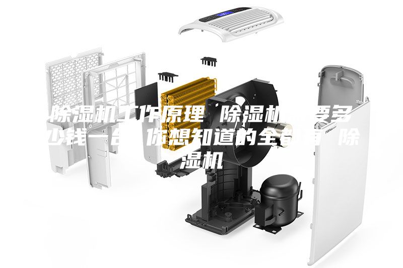除湿机工作原理 除湿机需要多少钱一台 你想知道的全都有 除湿机