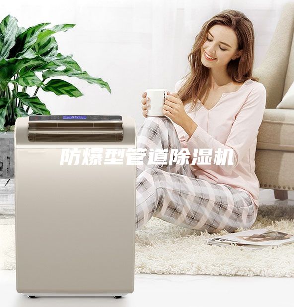 防爆型管道除湿机