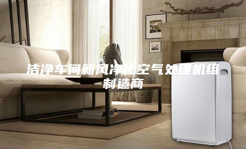 洁净车间新风净化空气处理机组制造商