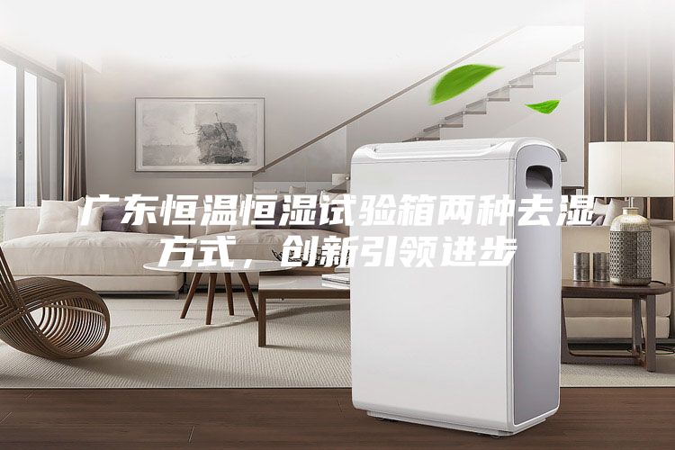 广东恒温恒湿试验箱两种去湿方式，创新引领进步