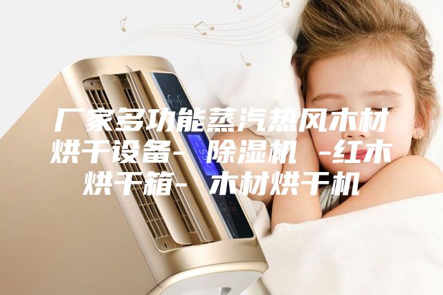 厂家多功能蒸汽热风木材烘干设备- 除湿机 -红木烘干箱- 木材烘干机