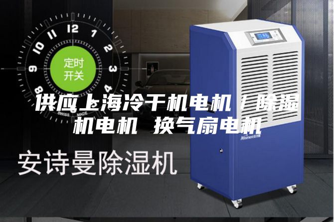 供应上海冷干机电机／除湿机电机 换气扇电机