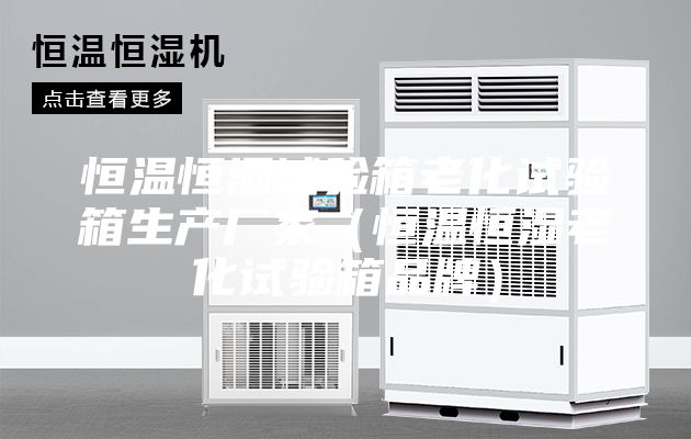恒温恒湿试验箱老化试验箱生产厂家（恒温恒湿老化试验箱品牌）