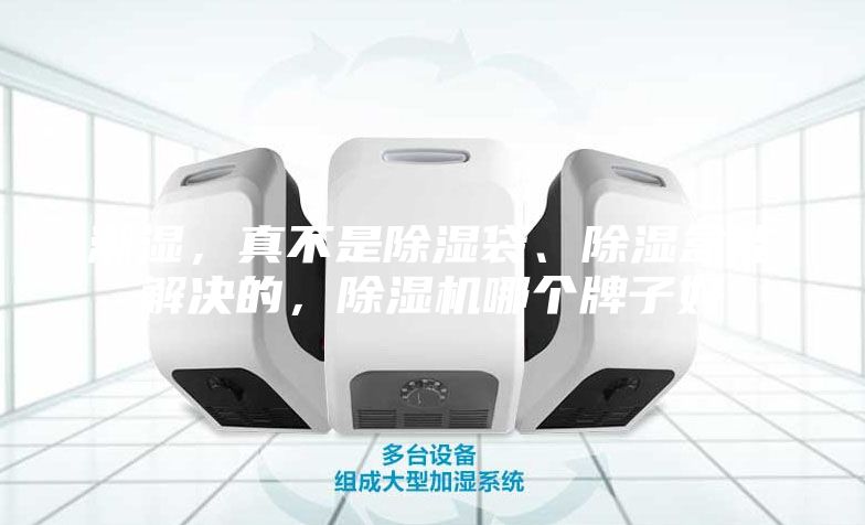 潮湿，真不是除湿袋、除湿盒能解决的，除湿机哪个牌子好