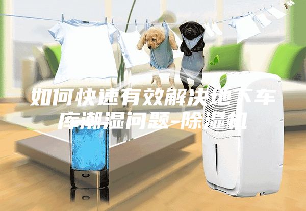 如何快速有效解决地下车库潮湿问题-除湿机