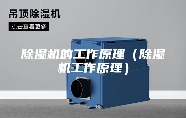 除湿机的工作原理（除湿机工作原理）