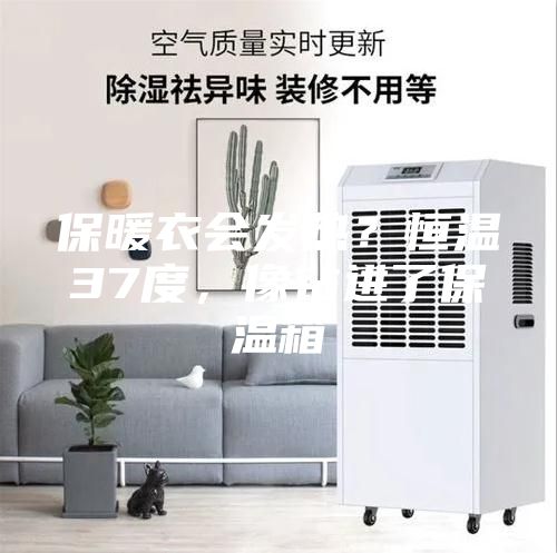 保暖衣会发热？恒温37度，像钻进了保温箱