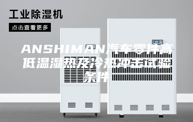 ANSHIMAN汽车零件高低温湿热及冷热冲击试验条件