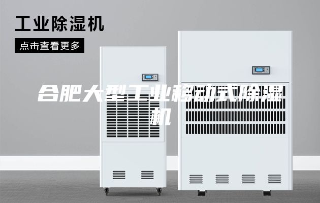 合肥大型工业移动式除湿机