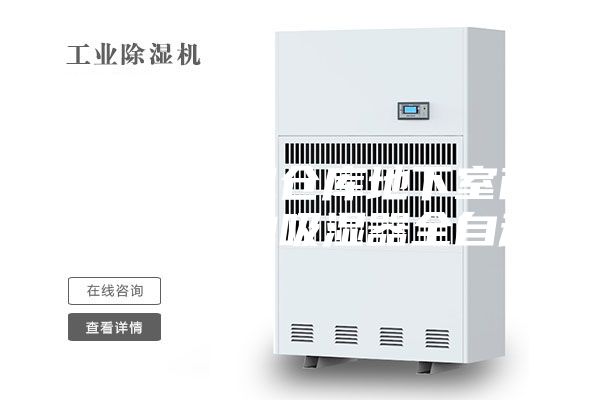 工业抽湿机仓库地下室商用器游泳池吸湿器全自动