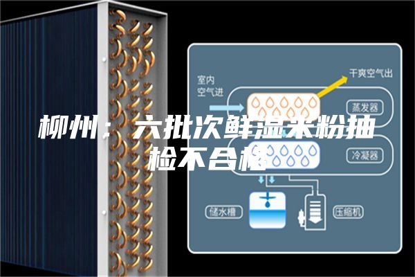 柳州：六批次鲜湿米粉抽检不合格