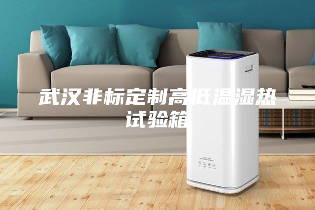 武汉非标定制高低温湿热试验箱