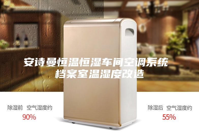 安诗曼恒温恒湿车间空调系统 档案室温湿度改造