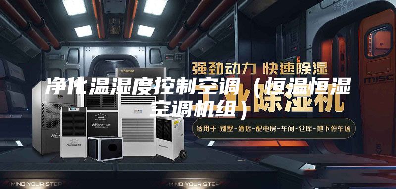 净化温湿度控制空调（恒温恒湿空调机组）