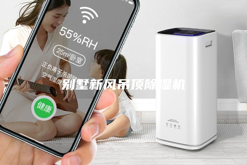 别墅新风吊顶除湿机