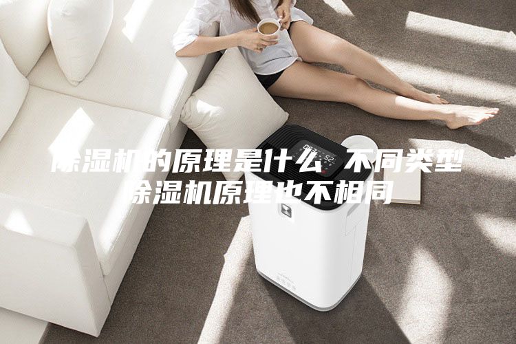 除湿机的原理是什么 不同类型除湿机原理也不相同
