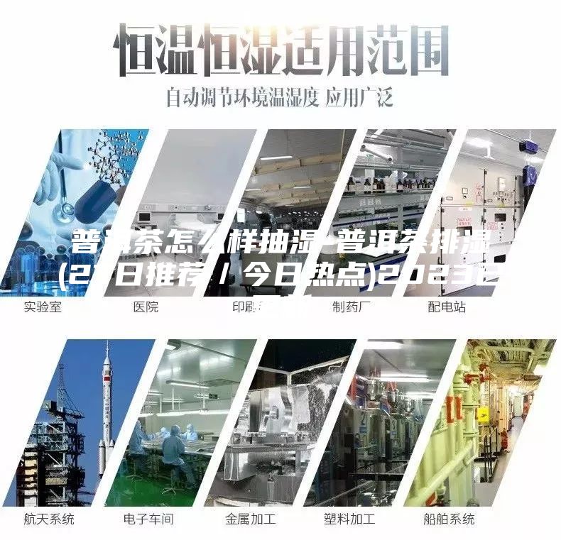 普洱茶怎么样抽湿-普洱茶排湿(27日推荐／今日热点)2023已更新
