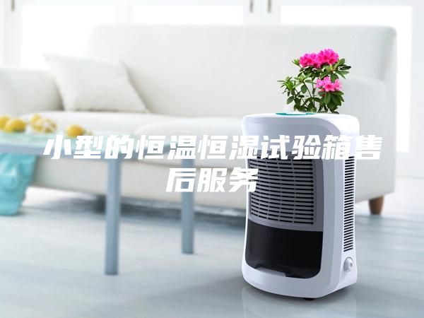 小型的恒温恒湿试验箱售后服务