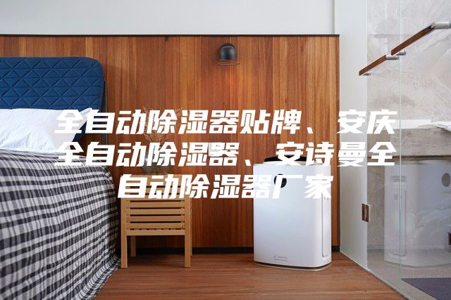 全自动除湿器贴牌、安庆全自动除湿器、安诗曼全自动除湿器厂家