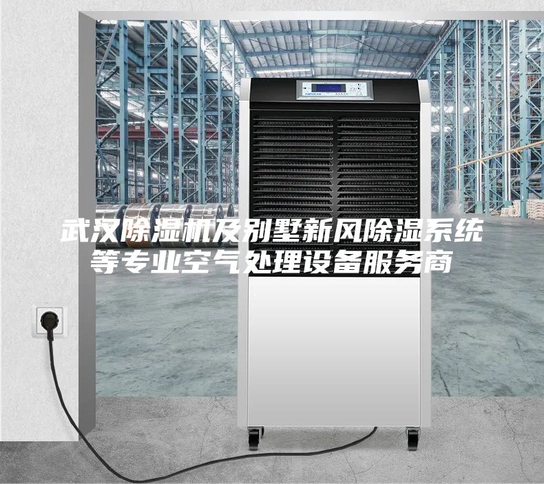 武汉除湿机及别墅新风除湿系统等专业空气处理设备服务商