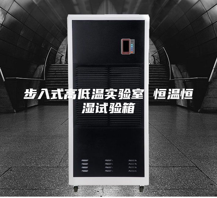 步入式高低温实验室 恒温恒湿试验箱