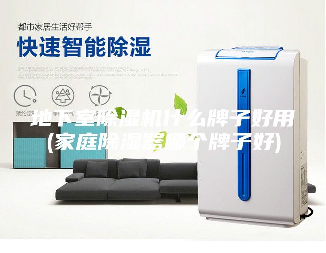 地下室除湿机什么牌子好用(家庭除湿器哪个牌子好)