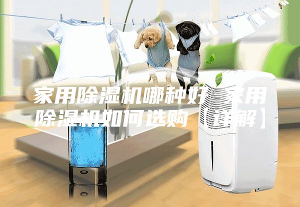 家用除湿机哪种好 家用除湿机如何选购【详解】