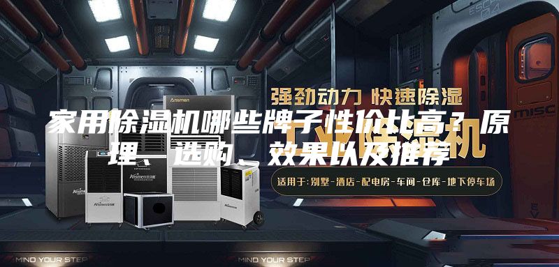 家用除湿机哪些牌子性价比高？原理、选购、效果以及推荐