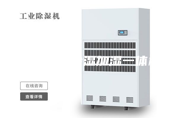 机房专用除湿加湿一体机