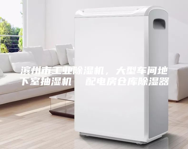 滨州市工业除湿机，大型车间地下室抽湿机  配电房仓库除湿器