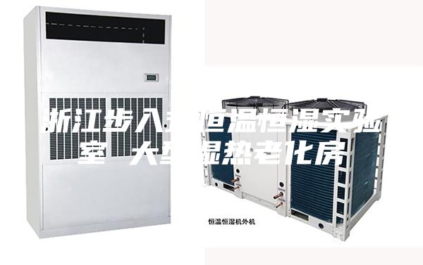 浙江步入式恒温恒湿实验室 大型湿热老化房