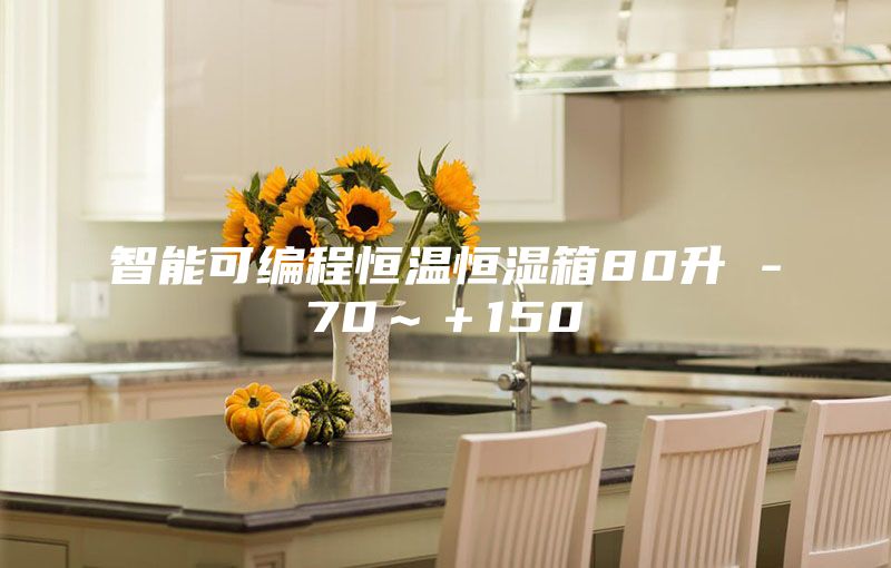 智能可编程恒温恒湿箱80升 -70～＋150℃