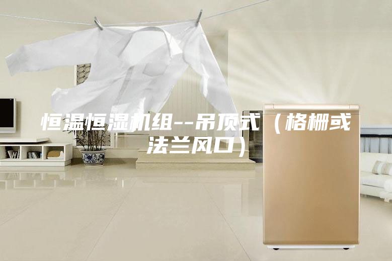 恒温恒湿机组--吊顶式（格栅或法兰风口）