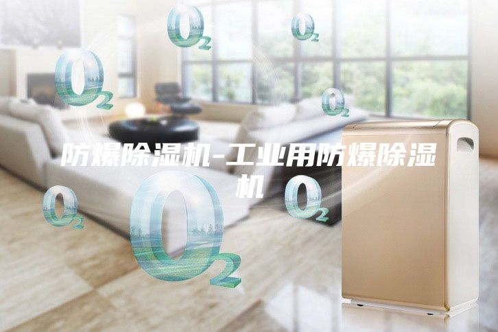 防爆除湿机-工业用防爆除湿机