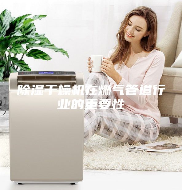 除湿干燥机在燃气管道行业的重要性