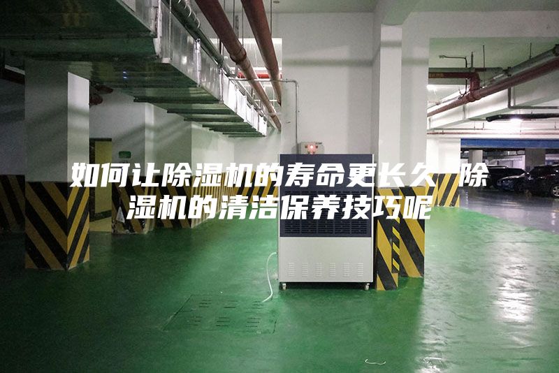 如何让除湿机的寿命更长久 除湿机的清洁保养技巧呢