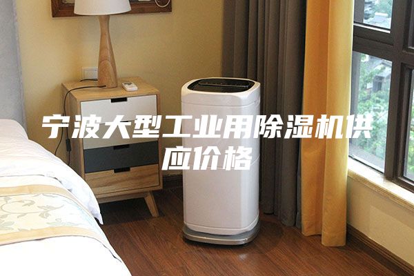 宁波大型工业用除湿机供应价格