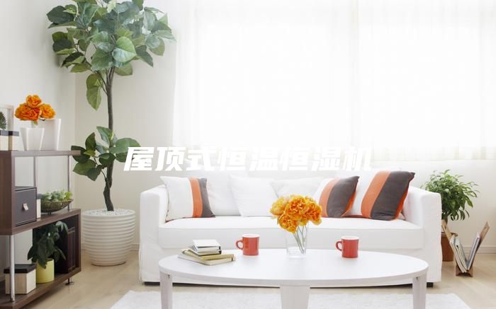 屋顶式恒温恒湿机