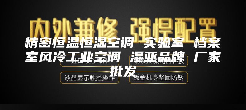 精密恒温恒湿空调 实验室 档案室风冷工业空调 湿亚品牌 厂家批发