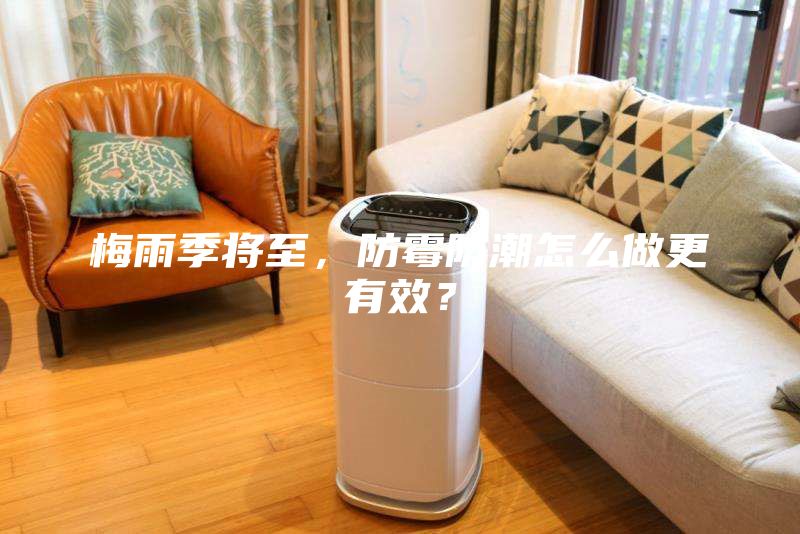 梅雨季将至，防霉防潮怎么做更有效？