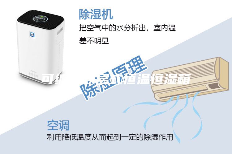 可编程双层式恒温恒湿箱