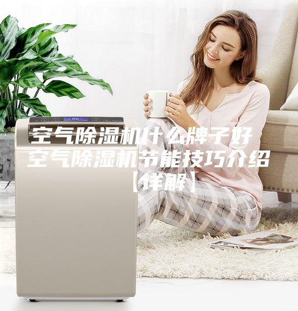 空气除湿机什么牌子好 空气除湿机节能技巧介绍【详解】