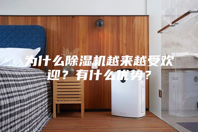 为什么除湿机越来越受欢迎？有什么优势？